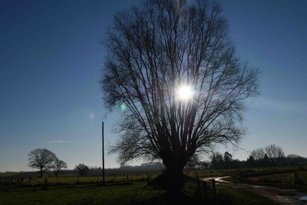 Gite L 'Ecurie A La Campagne Flines-Les-Mortagne Exterior foto