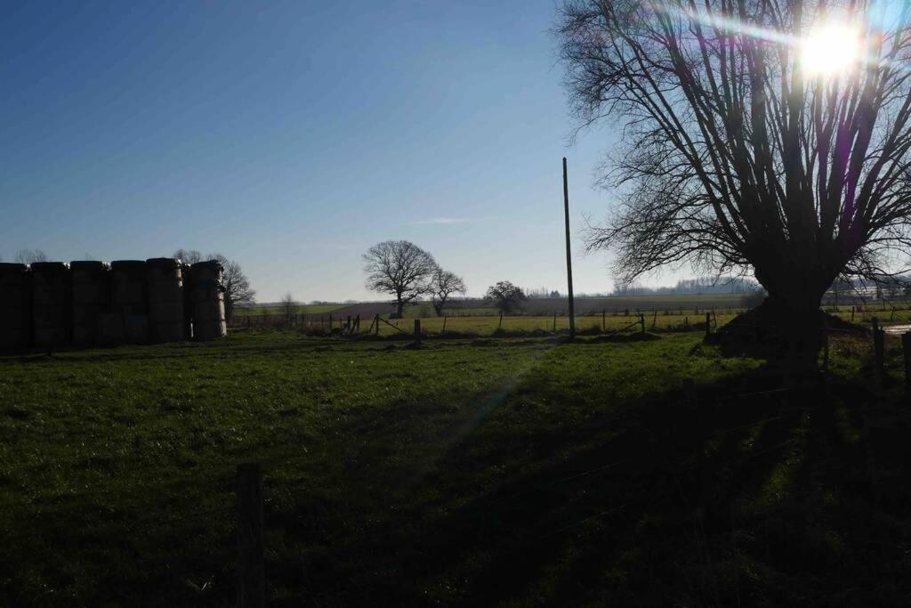Gite L 'Ecurie A La Campagne Flines-Les-Mortagne Exterior foto